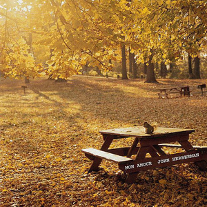 奶白官网登录入口
