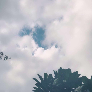 奶白官网登录入口
