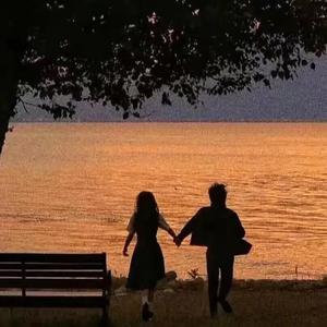 奶白官网登录入口
