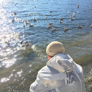 奶白官网登录入口
