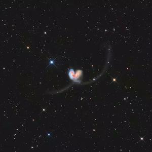 奶白官网登录入口
