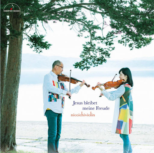 奶白官网登录入口
